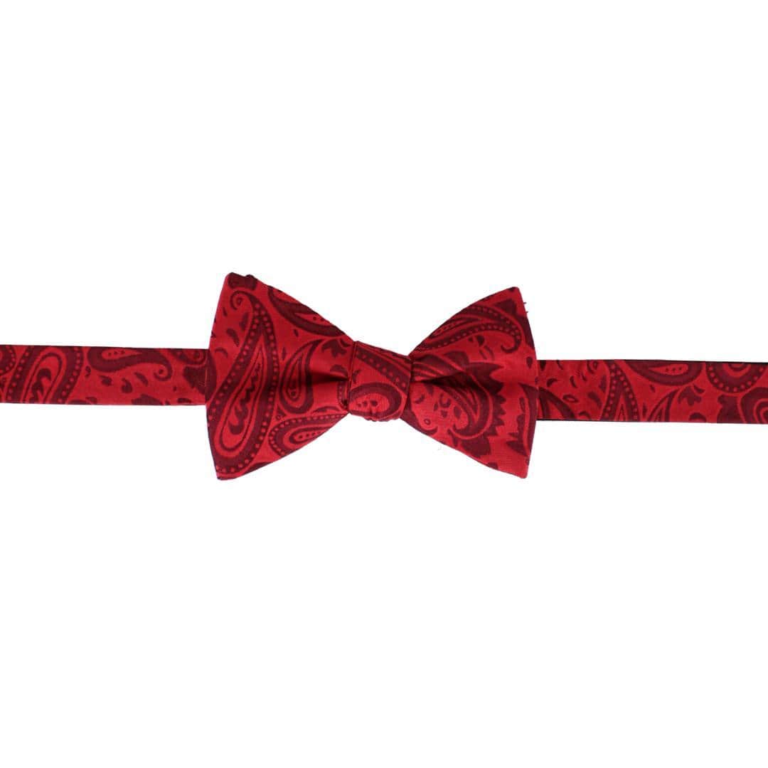 Banbury Tone on Tone Paisley Silk Bow Tie - Image 5