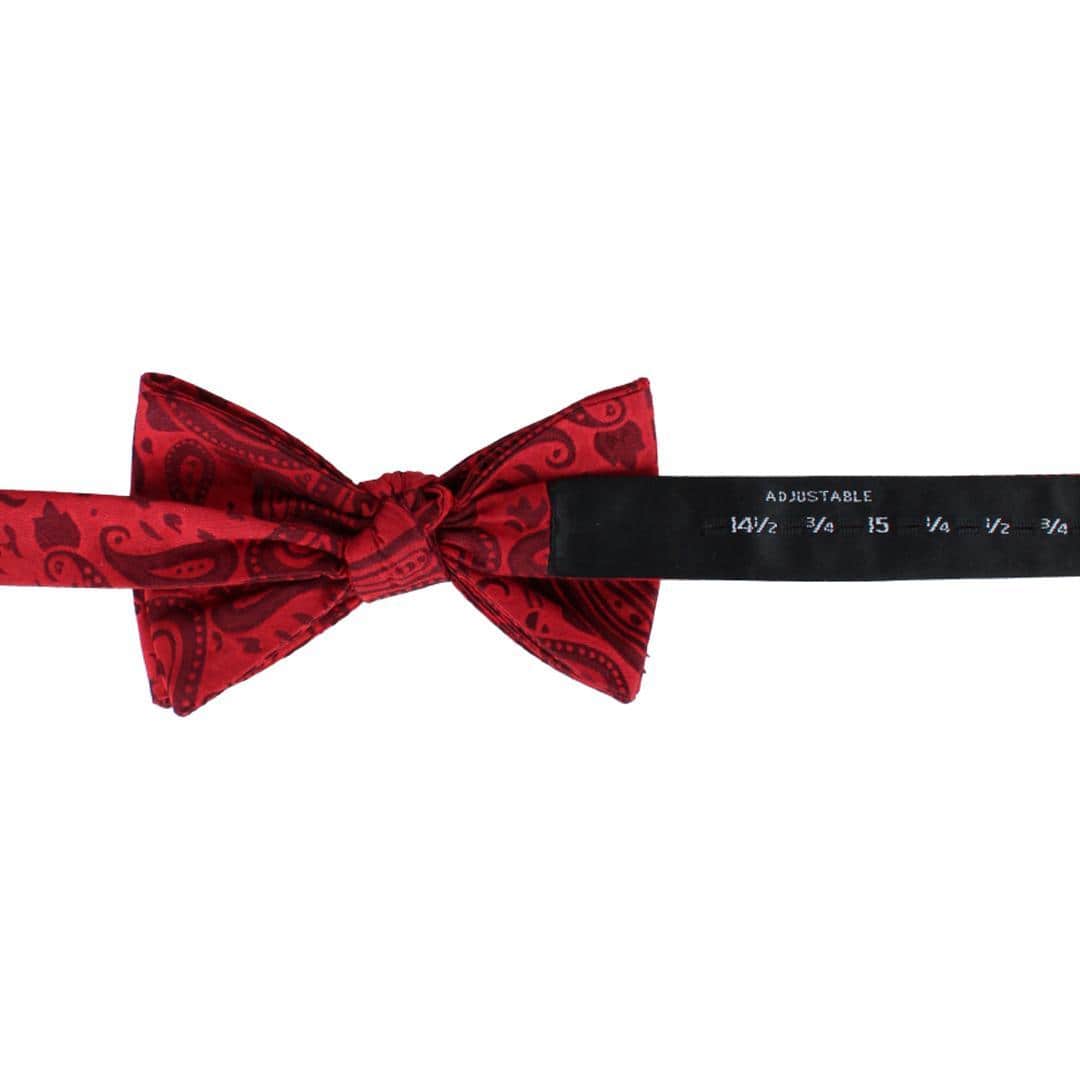 Banbury Tone on Tone Paisley Silk Bow Tie - Image 9