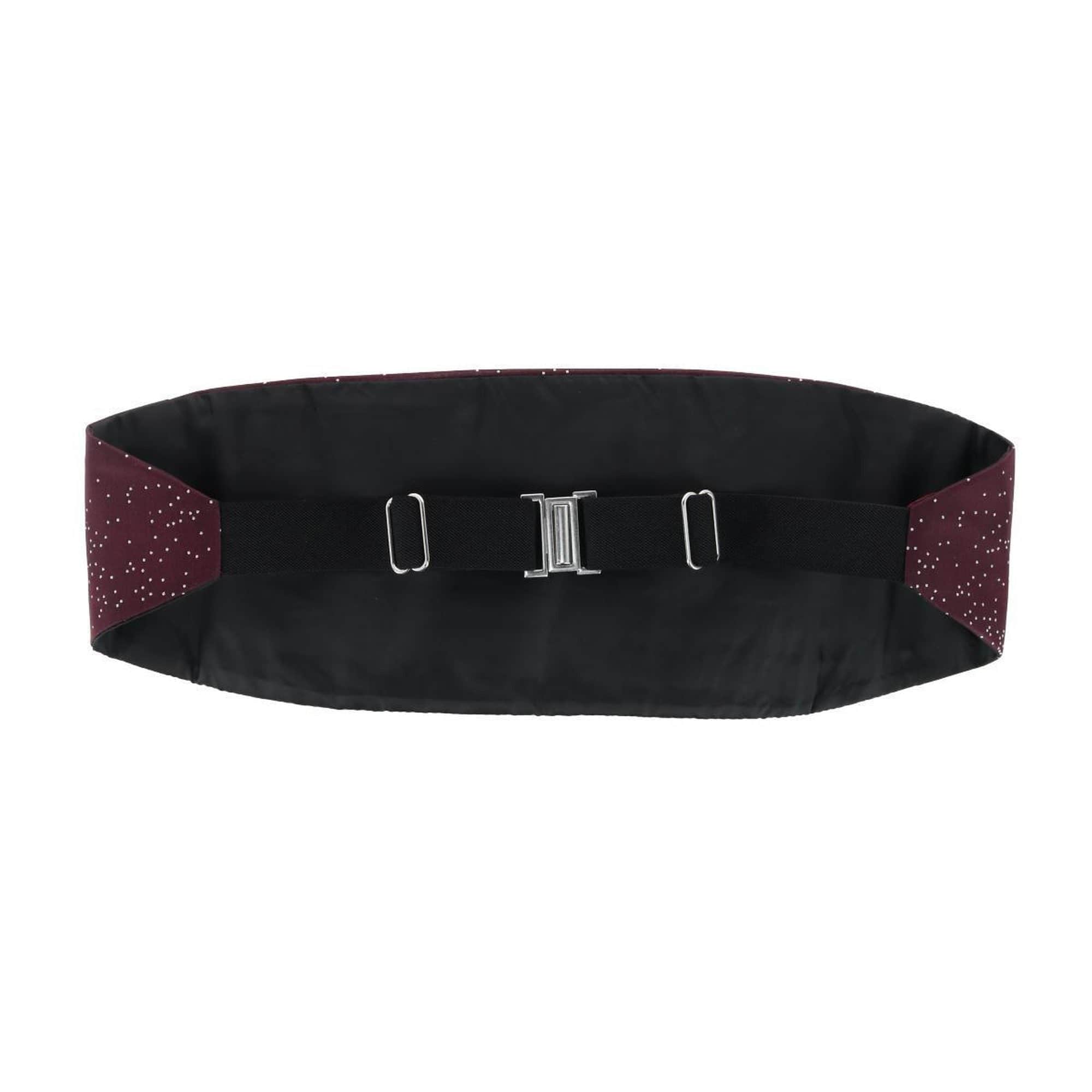 Mystere Metallic Star Light Cummerbund & Bow Tie Bundle - Image 10